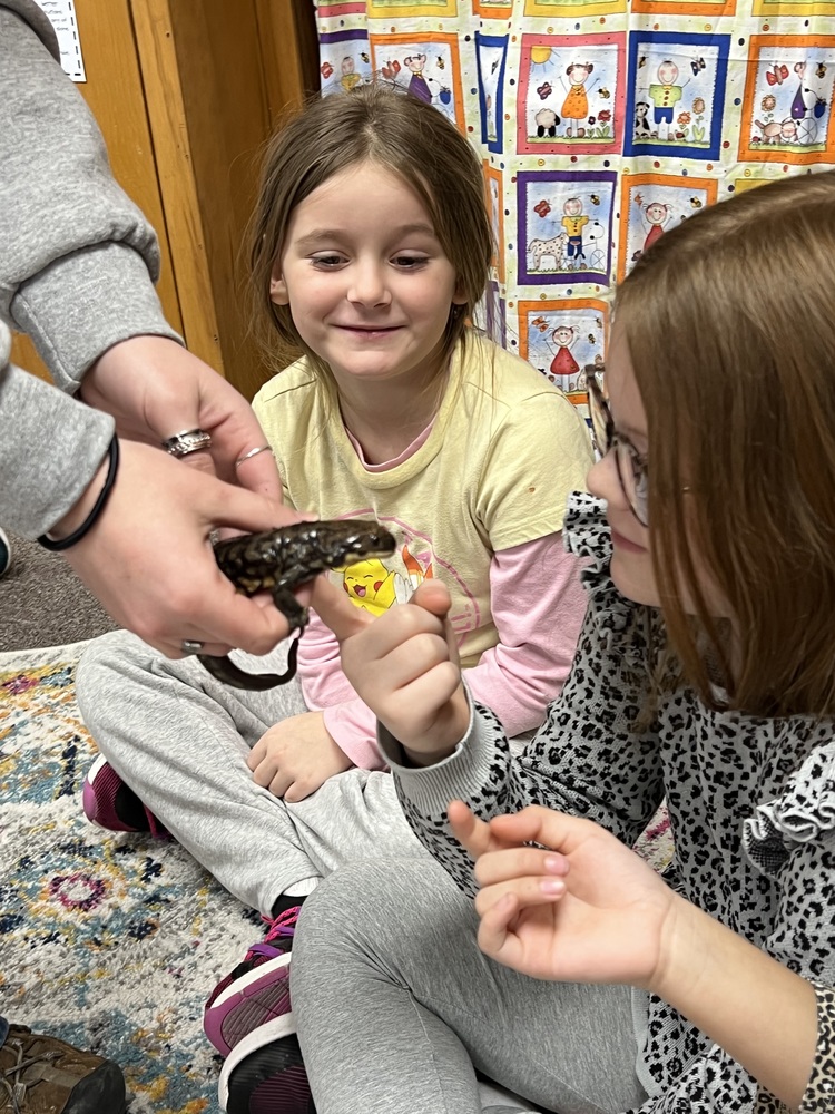 Creepy? Crawly? or SO much FUN?!